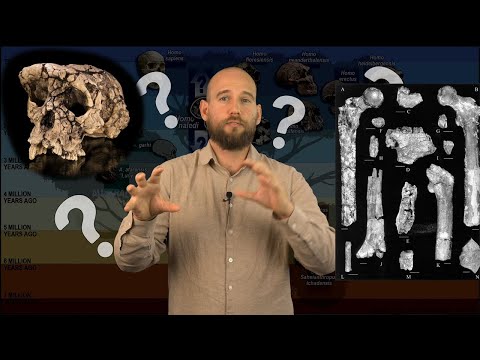 What don't we know about human evolution yet?