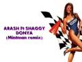 ARASH ft SHAGGY - DONYA ( Mintman remix ...