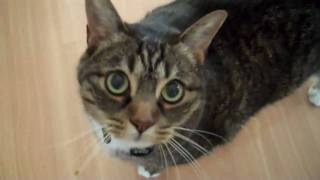 The Hell that is my life...