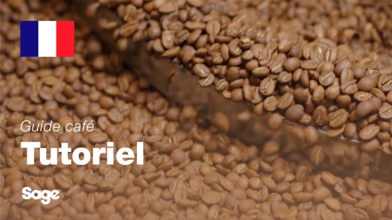 Guide didactique du café Breville - Choisir les bons grains
