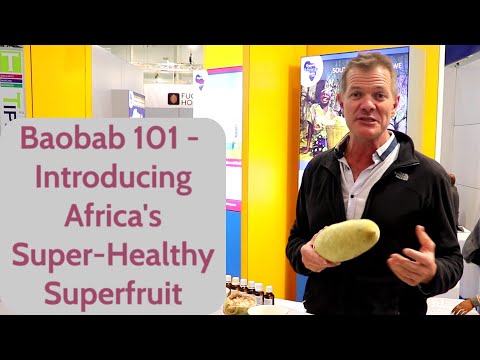 Baobab 101 - Introducing Africa's Super Healthy Superfruit