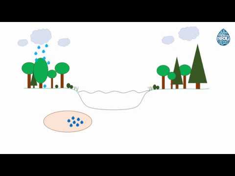 Capsule 1 - Les eaux de ruissellement, c'est quoi?