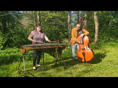 Aleksandra Kremenetski & Ara Yaralyan "Swallow"