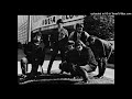 The Turtles - She'll Come Back  1966