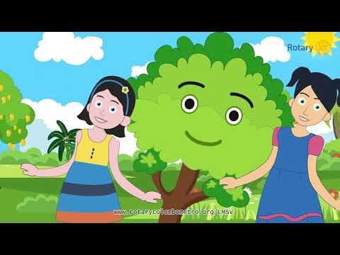 10. ගස් කොලන් - Gas Kolang