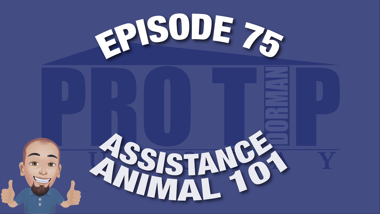 <![CDATA[Episode 75: Assistance Animal 101]]>