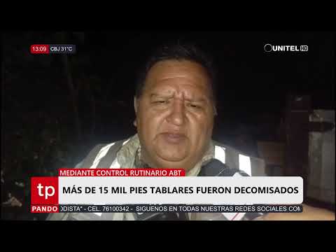 ABT decomisa más de 15 mil pies tablares en Bolpebra
