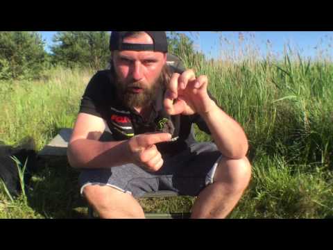 Rig Tarnung ( Krautimitat ) beim Fischen mit Boilies von RSR-Baits