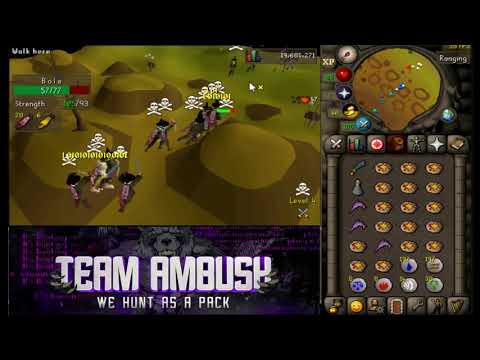 Ambush PACK ATTACK ft blitz, xl ,fh