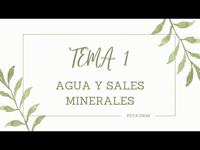 Vídeo relacionado con Biology and geology. 3 Secondary. Savia: Madrid, Castilla-León , Asturias y Aragón - 9788416346936