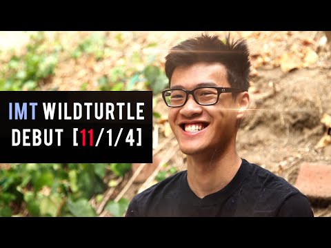 IMT WildTurtle vs C9 | GODMODE LUCIAN