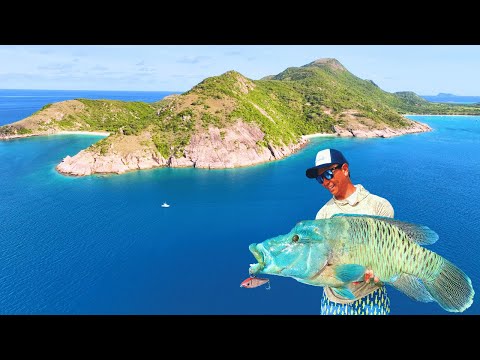 Fishing Tropical Reefs in Remote Australia (Cooktown & Lizard Island)