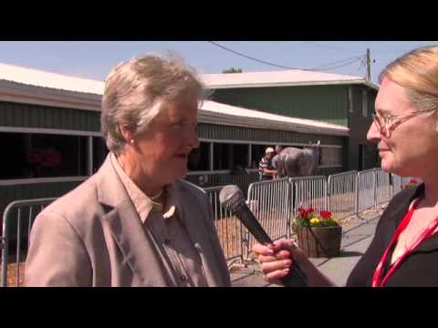 2012 The President of the UAE Cup Series Arabian Race Program