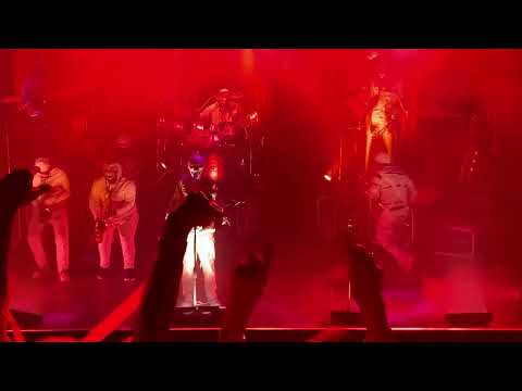 Here Come The Mummies, Pants, HOB November 2021