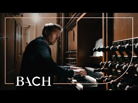 Bach - Das alte Jahr vergangen ist BWV 1091 - Bart Naessens | Netherlands Bach Society