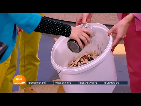 Biljni ostaci, voće, povrće i ostaci hrane mogu se pretvoriti u kompost - kako to uraditi kod kuće?