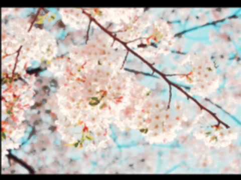 Fool- Juniel ft. Jung Yong Hwa (English Lyrics)