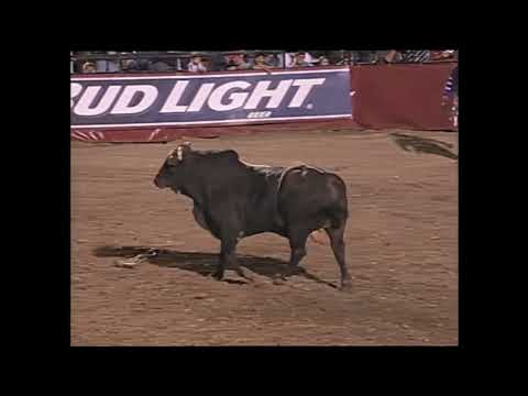 Charlie Brown bucks Brian Herman - 99 PBR Tunica