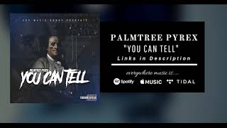 Palmtree Pyrex   You Can Tell Official Audio