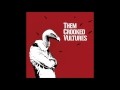 Them Crooked Vultures - Dead End Friends ...