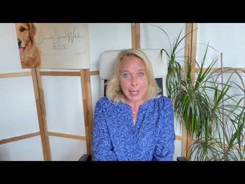 Was hat die Kraft der Anziehung mit der Hundeerziehung zu tun?