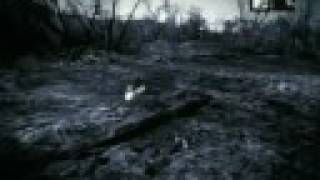 Ryan Adams - So Alive