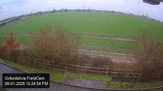Live Oxfordshire Field cam Live Streaming from Live Webcam overlooking a field in Oxfordshire Immerse yourself in nature.