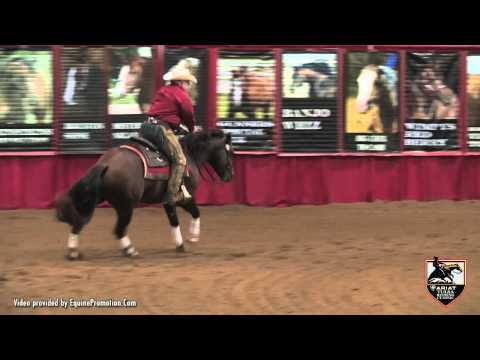 Gunners Tinseltown and Tim McQuay - 2012 ATRC