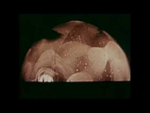 download lagu mp3 mp4 Jesse Hays, download lagu Jesse Hays gratis, unduh video klip Jesse Hays