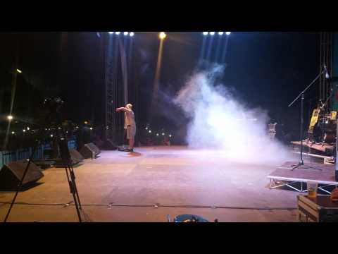 Zilele Aradului 2015