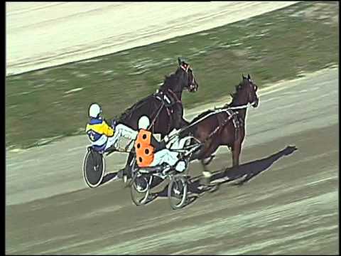 Trotto 01/11/2015 - prova di riqualifica