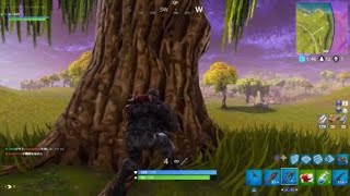 Fortnite始めて１日目の神ショット