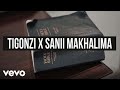 Ti Gonzi, Sanii Makhalima - Devil is A Liar