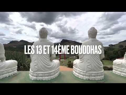 La folle sagesse: éveille-toi, réalise-toi et libère-toi… avec humour!