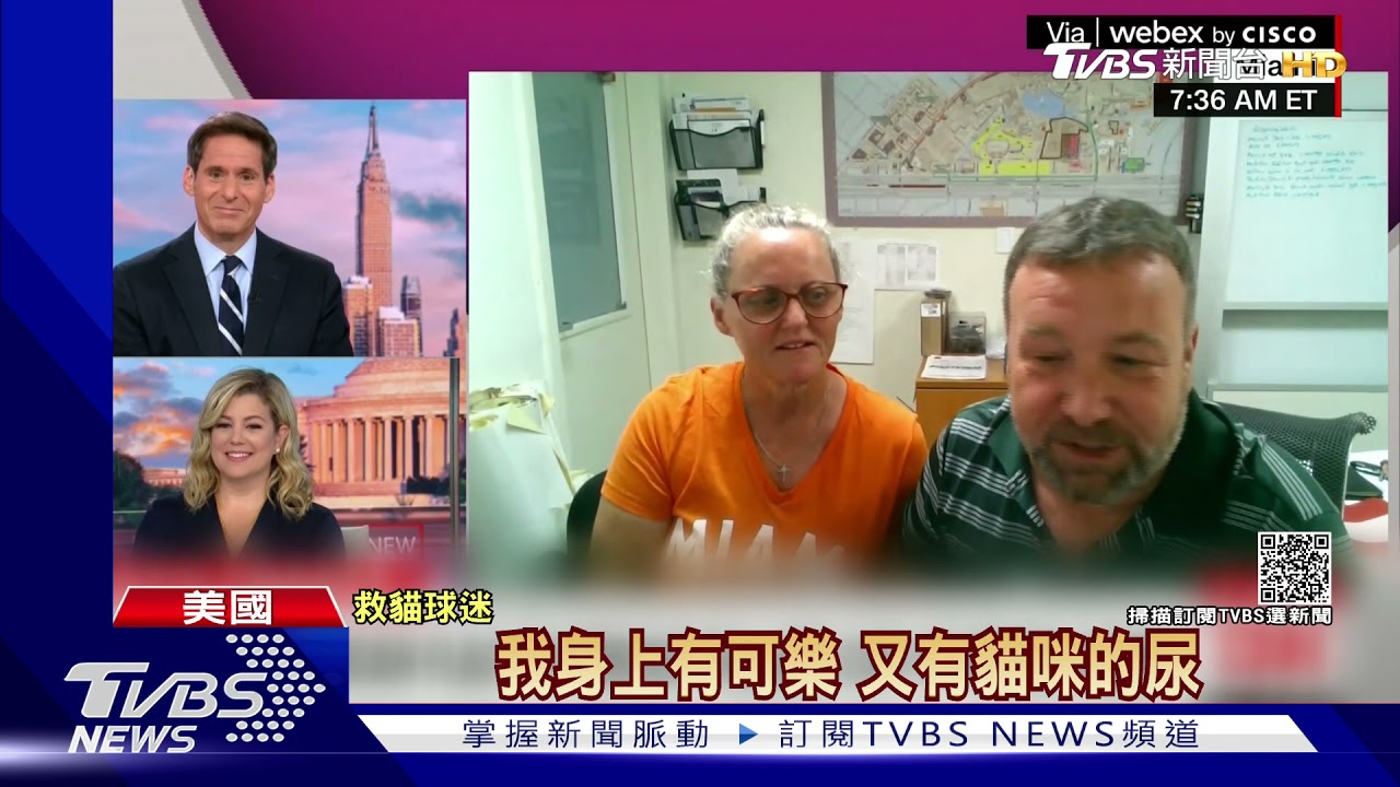 小貓咪失足摔落看台 機警球迷拿國旗「神救援」