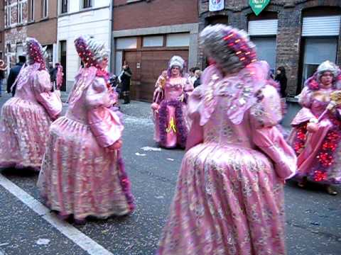 Aalst Carnaval 2009 - De Zieke Zjieratten-Twiekierenniet