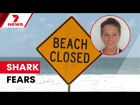 Nico Antic facing ‘worst possible outcome’ after shark attack at Vaucluse | 7NEWS