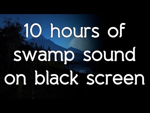 🎧 Swamp sounds swamp sound on black screen dark screen white noise HQ ASMR sounds of nature