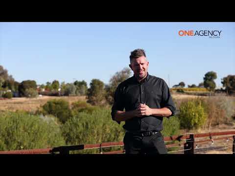 80 Barnett Road, Red Cliffs, VIC 3496, 4房, 2浴, House