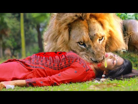 Lion Attack Man in Forest Lion AttackHunter Lion Attack Stories Part-27