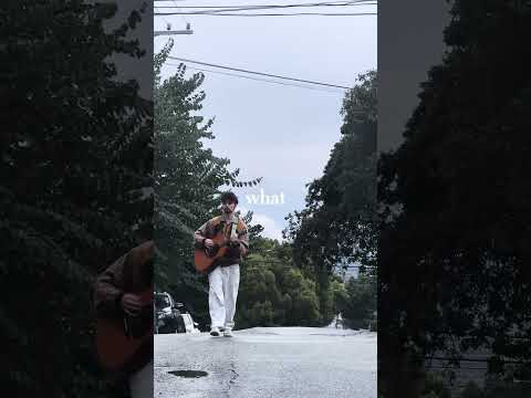 search party - Dosey