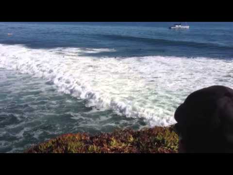 Slater at the Cold Water Classic 2012