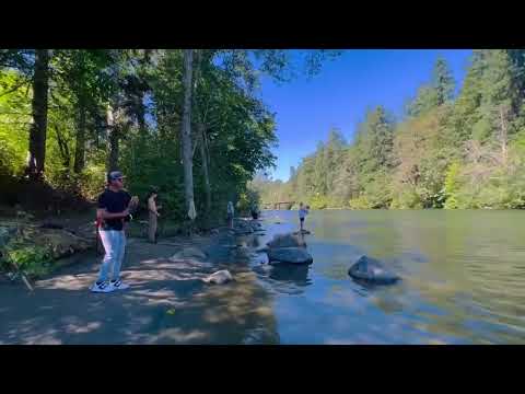 2023 Campbell River Pink Salmon Fishing