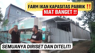 GREBEK FARM KAPASITAS PABRIK IKAN ASAL AMAZONE UNTUK PASAR EROPA - LUAR BIASA PELELOLAAN AIR BAKUNYA