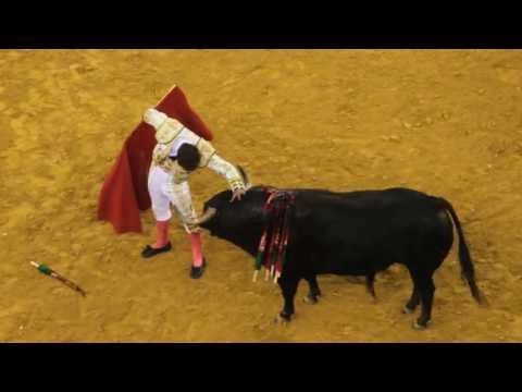 Banda do Samouco no Campo Pequeno - Virgen Macarena na lide de Antonio Ferrera 6jun2013