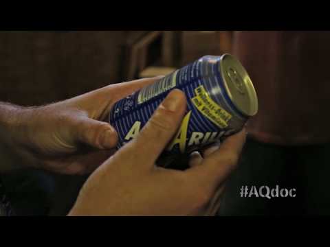 It Came from Aquarius Records - What's This?