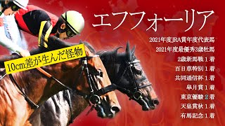 【競馬MAD】エフフォーリア「10cm差が生んだ怪物」2021年度代表馬
