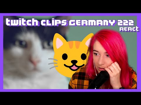 Der Katzenhass muss enden 😿  [Liza reagiert]