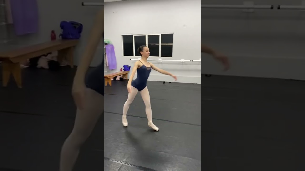 Os passos de ballet que elas não gostam!