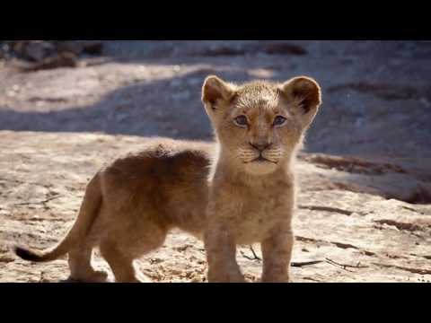 Home Alone (QuiggC1 Mammal Style) Part 22: Christmas Morning